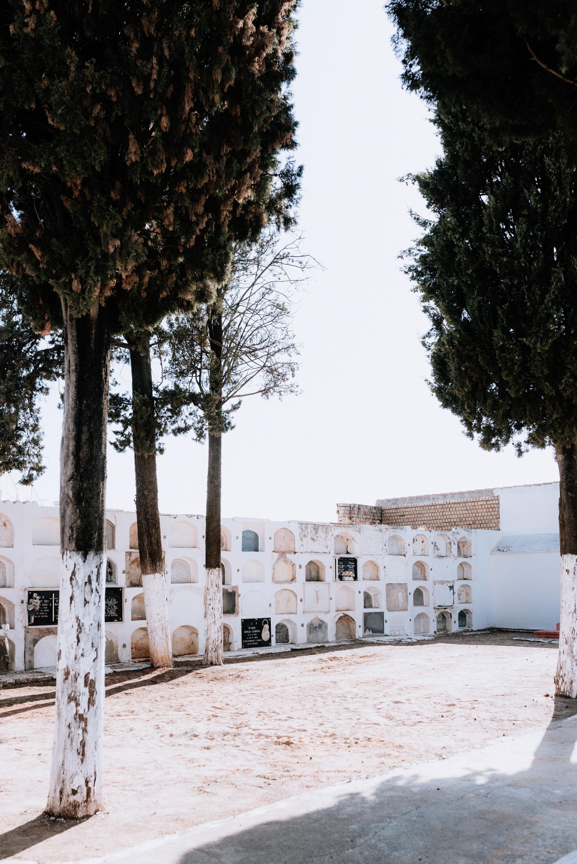 Tantos muertos que nos faltan. Benacazón. Sevilla. - 1